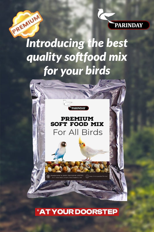 Premium Soft Food Seeds Mix For All Parrots