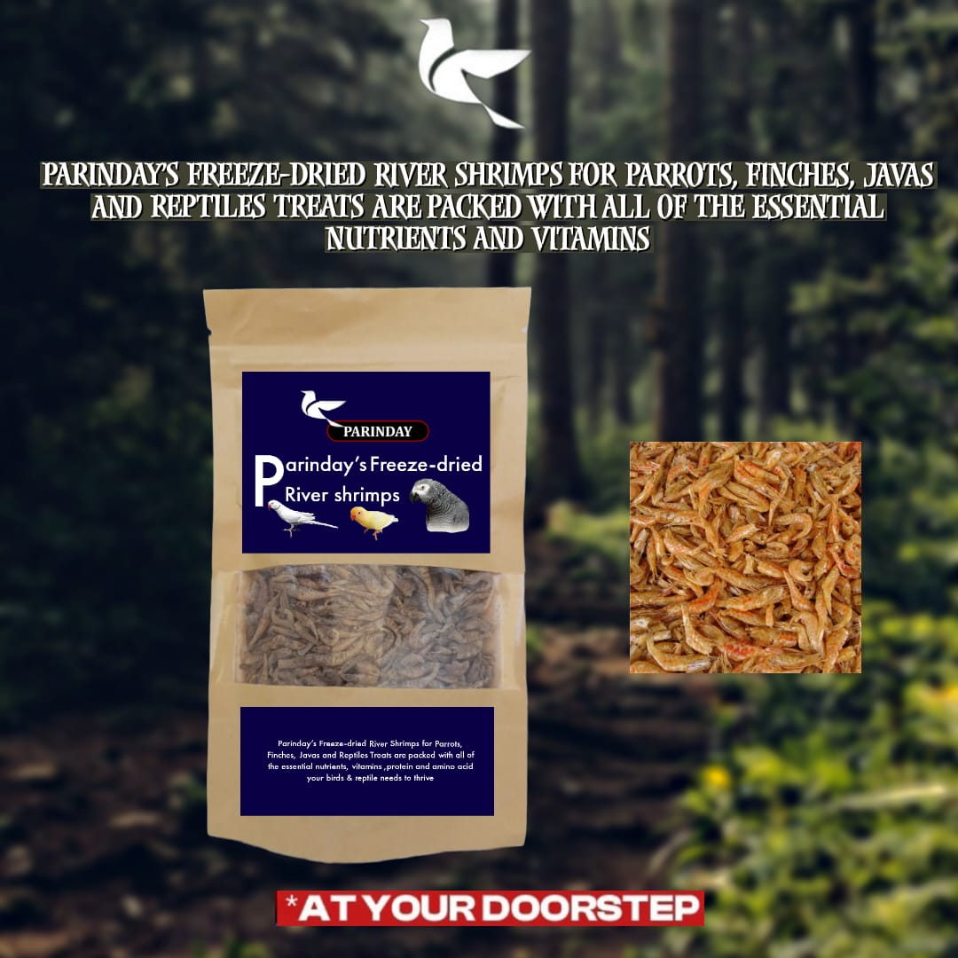 Freeze-Dried River Shrimps